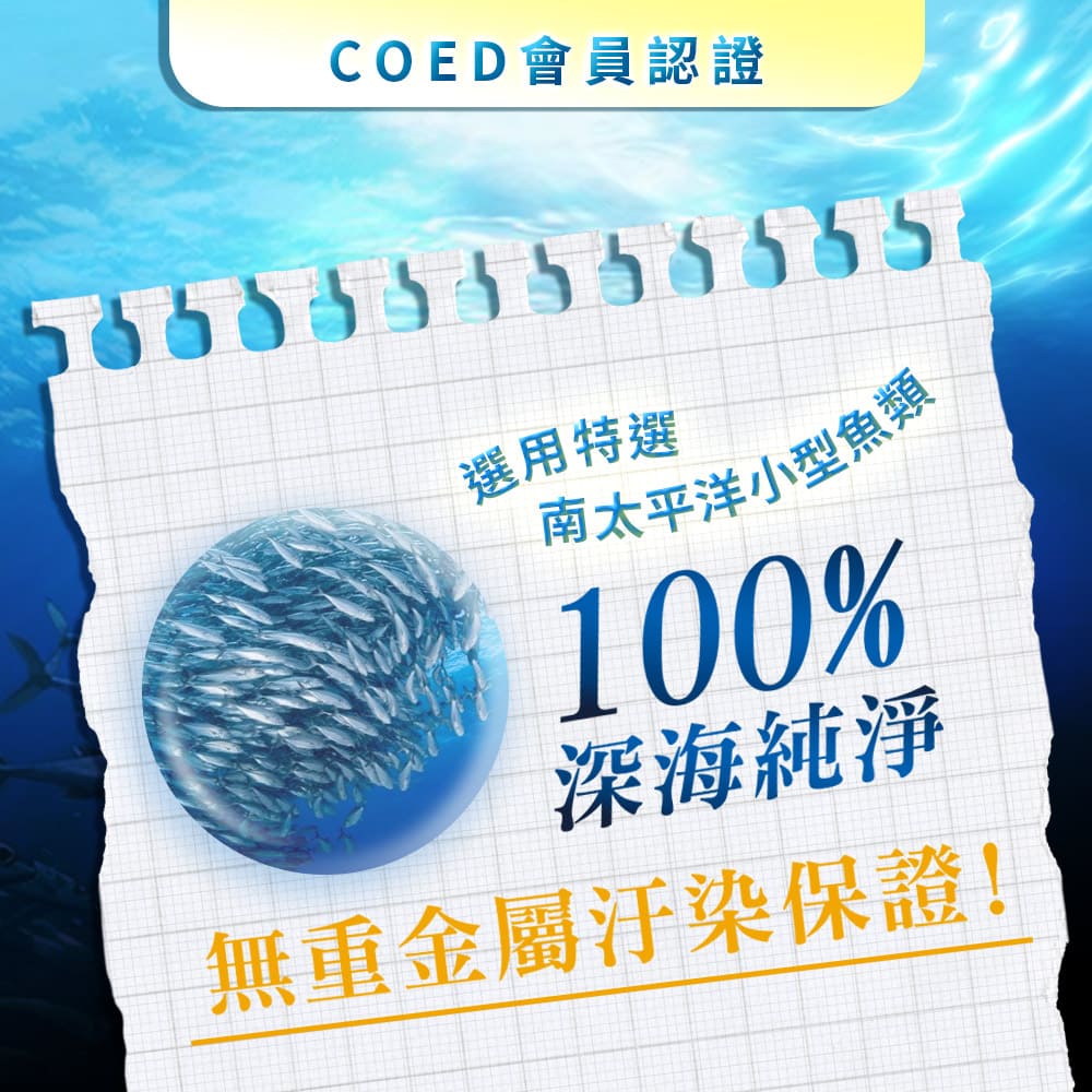 西班牙高濃度魚油